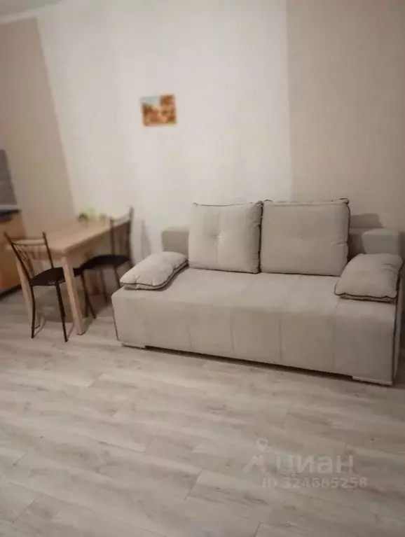 Студия Санкт-Петербург пос. Шушары, просп. Новгородский, 2к1 (27.0 м) - Фото 2