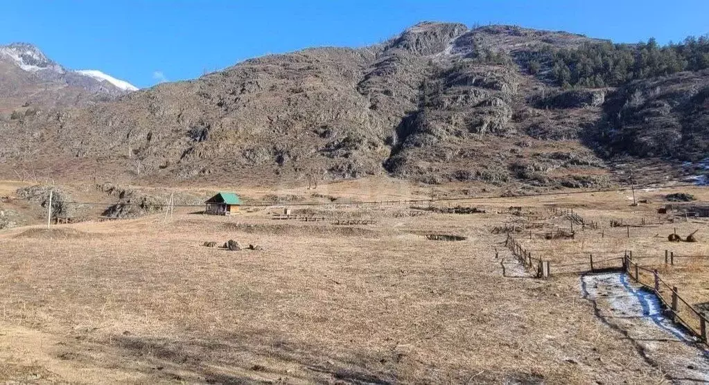 Участок в Алтай, Чемальский район, с. Еланда Катунская ул., 5 (77.0 ... - Фото 1