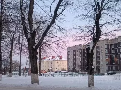 2-к кв. Ленинградская область, Лужский район, пос. Дзержинского ... - Фото 1