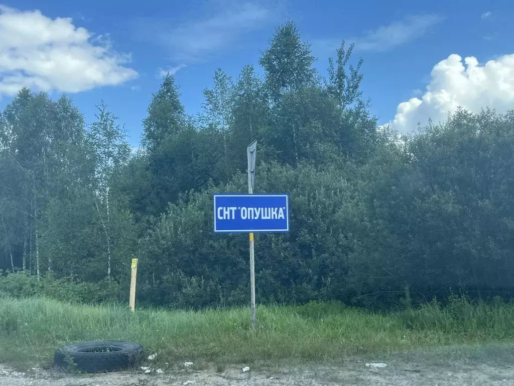 Участок в Владимирская область, Александровский муниципальный округ, ... - Фото 1