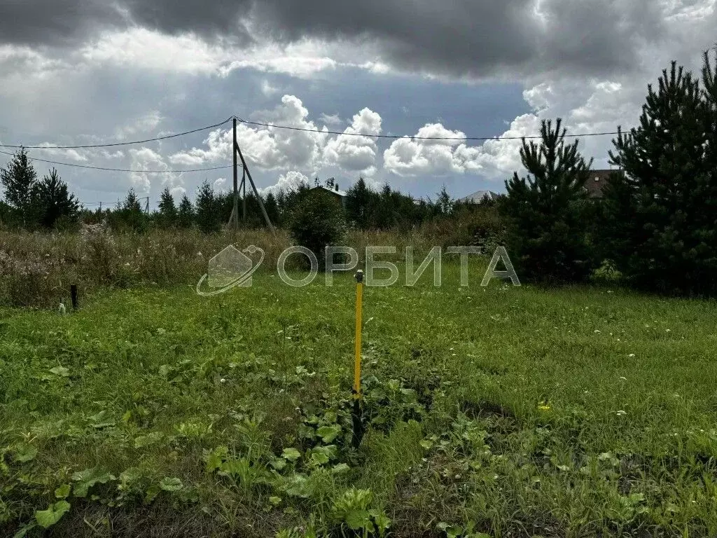 Участок в Тюменская область, Тюменский район, с. Каменка, Подушкино ... - Фото 1