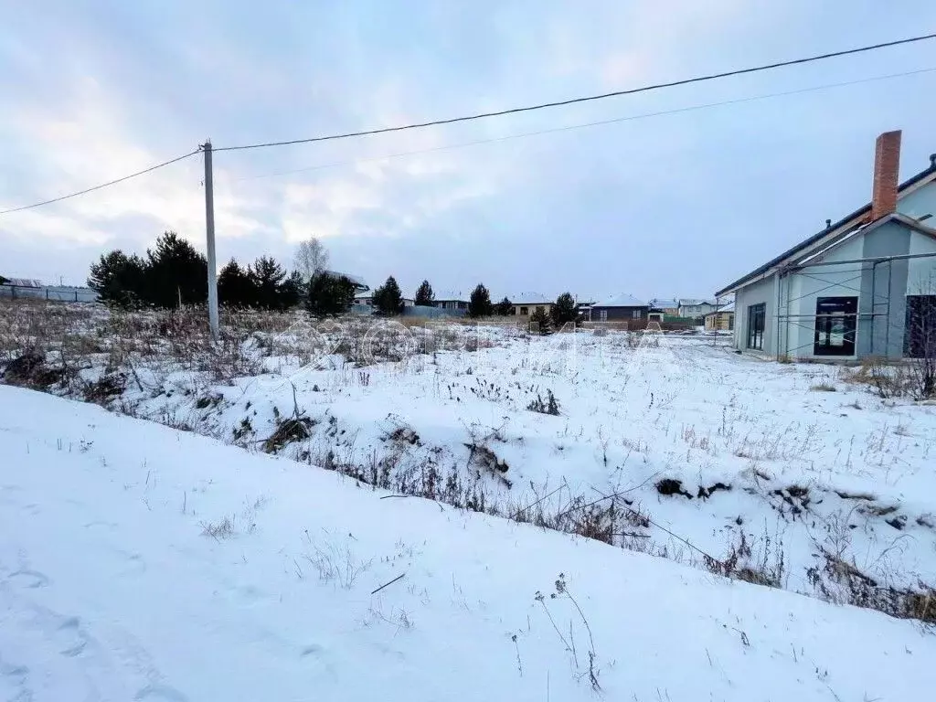 Участок в Тюменская область, Тюменский муниципальный округ, с. Каменка ... - Фото 2