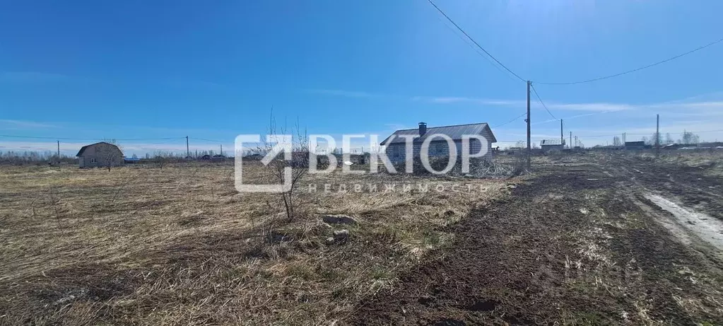 Участок в Костромская область, Кострома Первый кп, проезд Даниловский ... - Фото 2