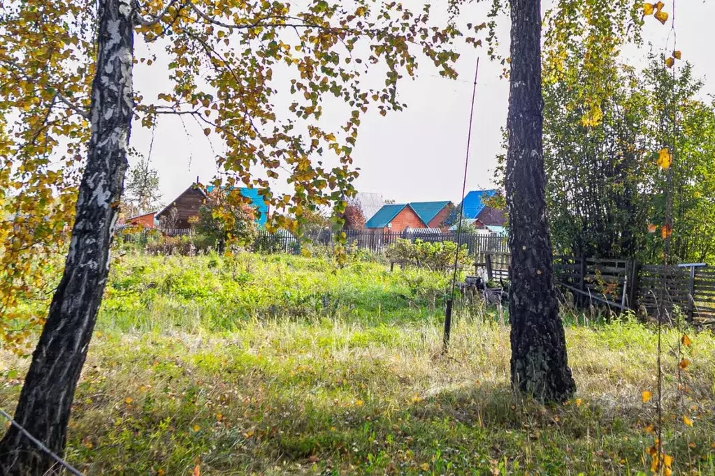 Участок в Новосибирская область, Бердск Ива СНТ, ул. 15-я, 31 (7.7 ... - Фото 1