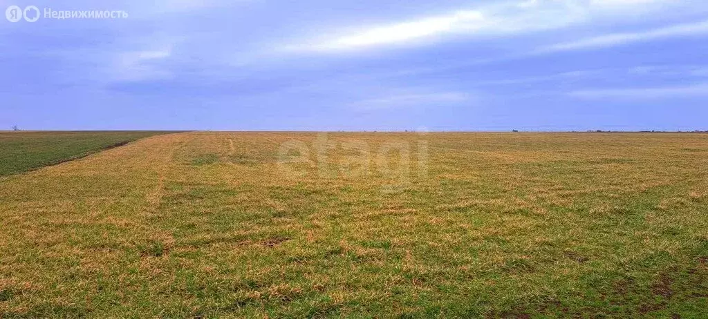 Участок в Каменское, Овражная улица, 4 (3382.96 м) - Фото 2