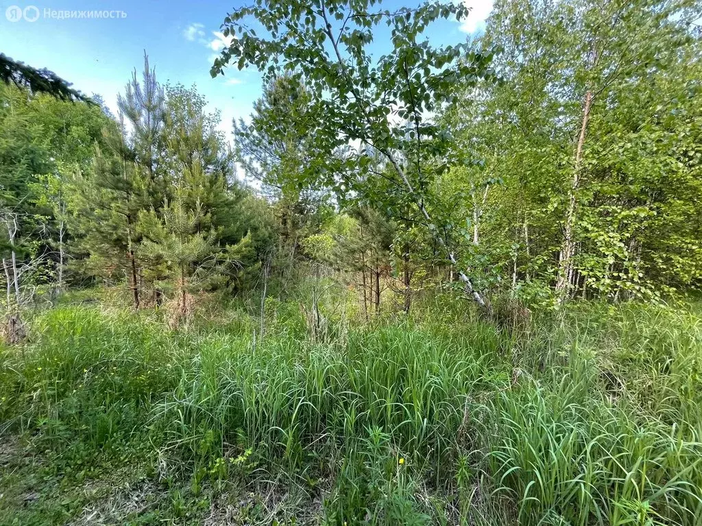 Участок в Иркутский муниципальный округ, СНТ Дражное (20 м) - Фото 1