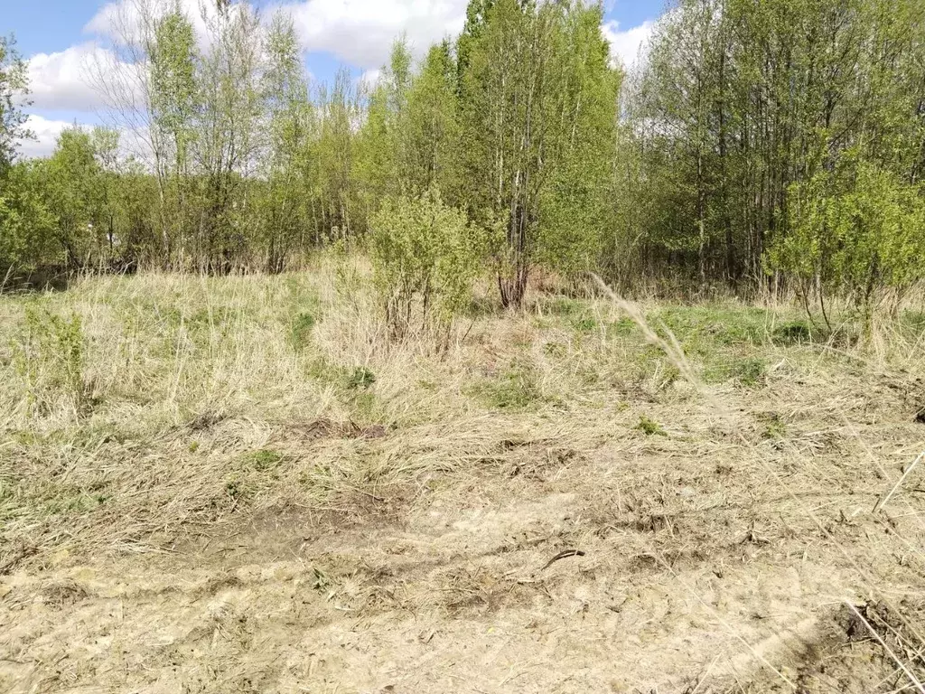 Участок в Московская область, Орехово-Зуевский городской округ, пос. ... - Фото 0