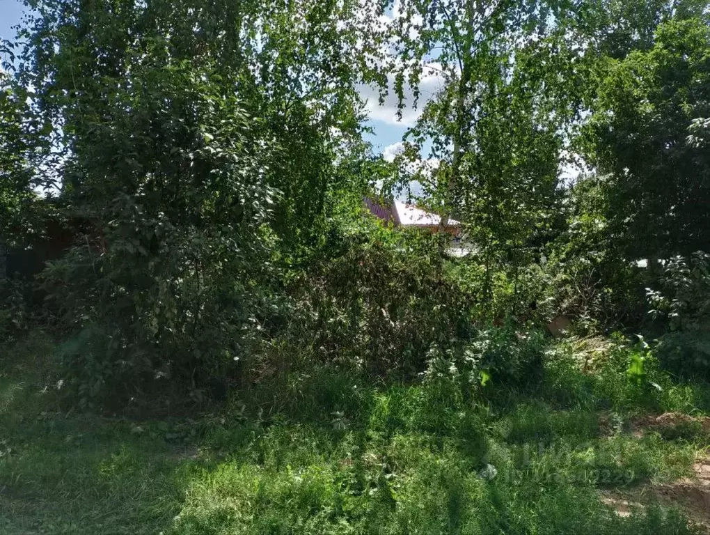 Участок в Нижегородская область, Балахнинский муниципальный округ, ... - Фото 1