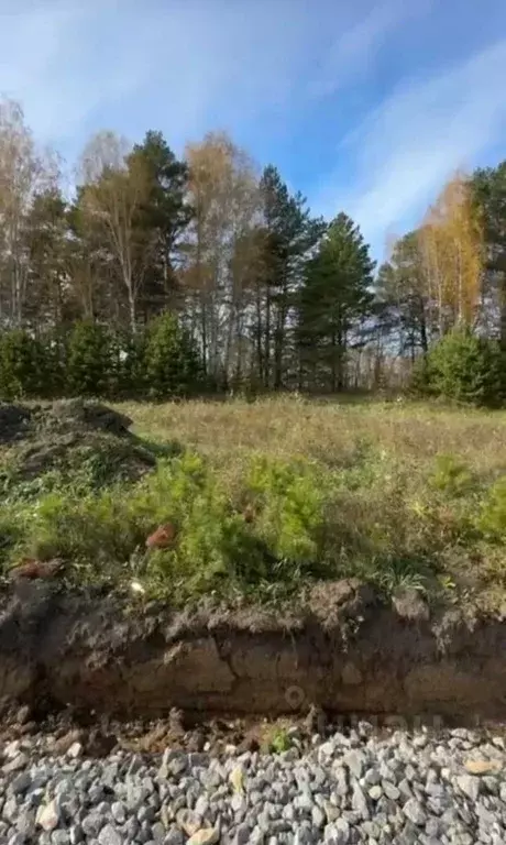 Участок в Тюменская область, Тюменский район, с. Горьковка Сибирская ... - Фото 0