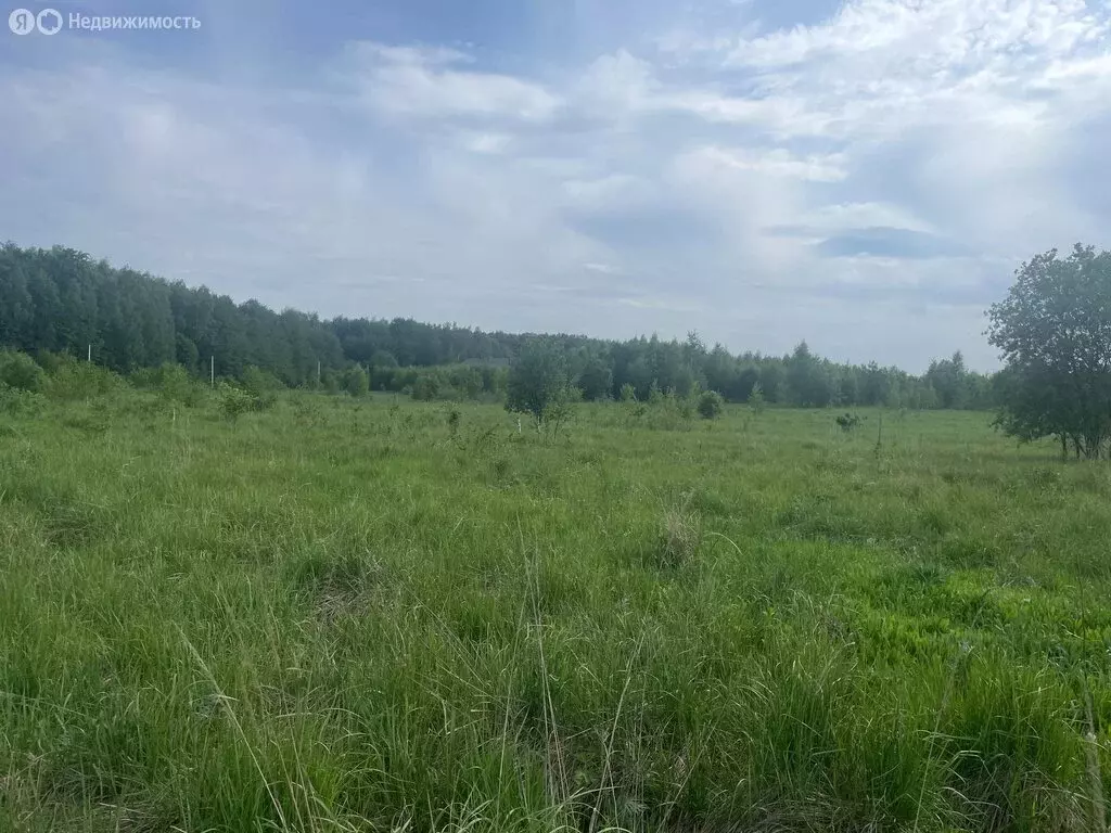 Участок в Раменский городской округ, территориальное управление ... - Фото 0