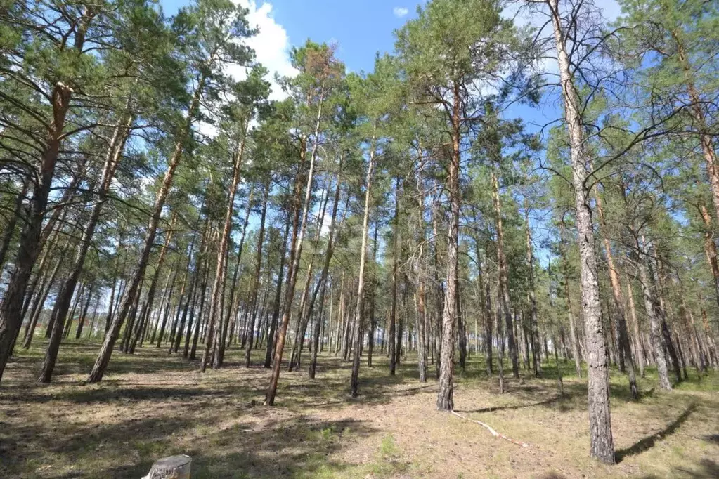 Участок в Саха (Якутия), Якутск Октябрьский округ,  (10.0 сот.) - Фото 1