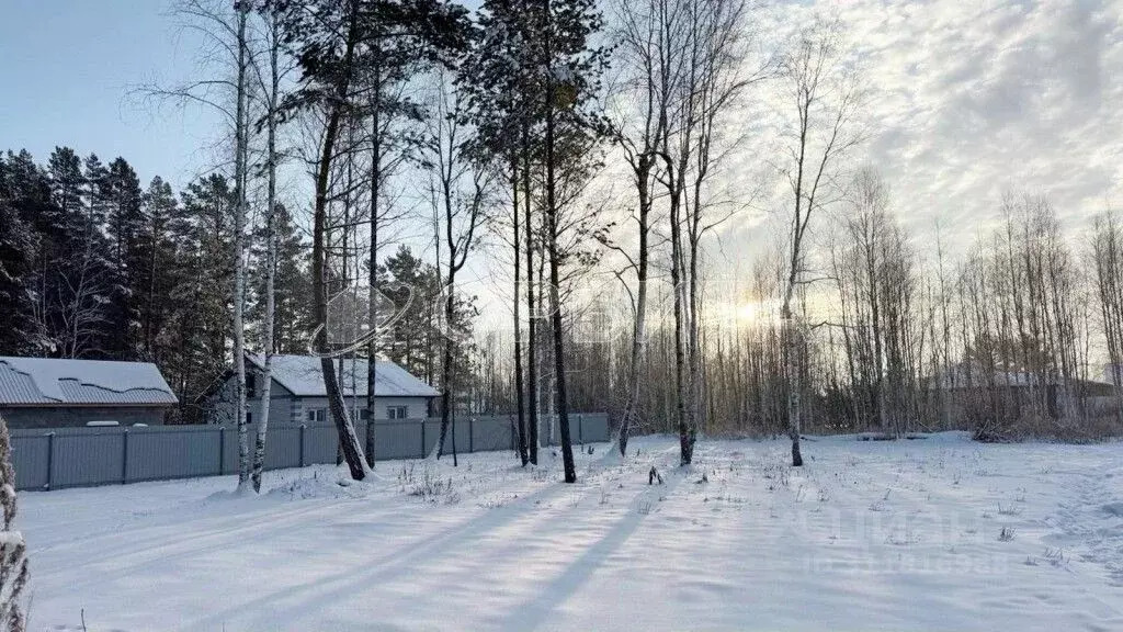 Участок в Тюменская область, Нижнетавдинский район, с. Тюнево ул. ... - Фото 1