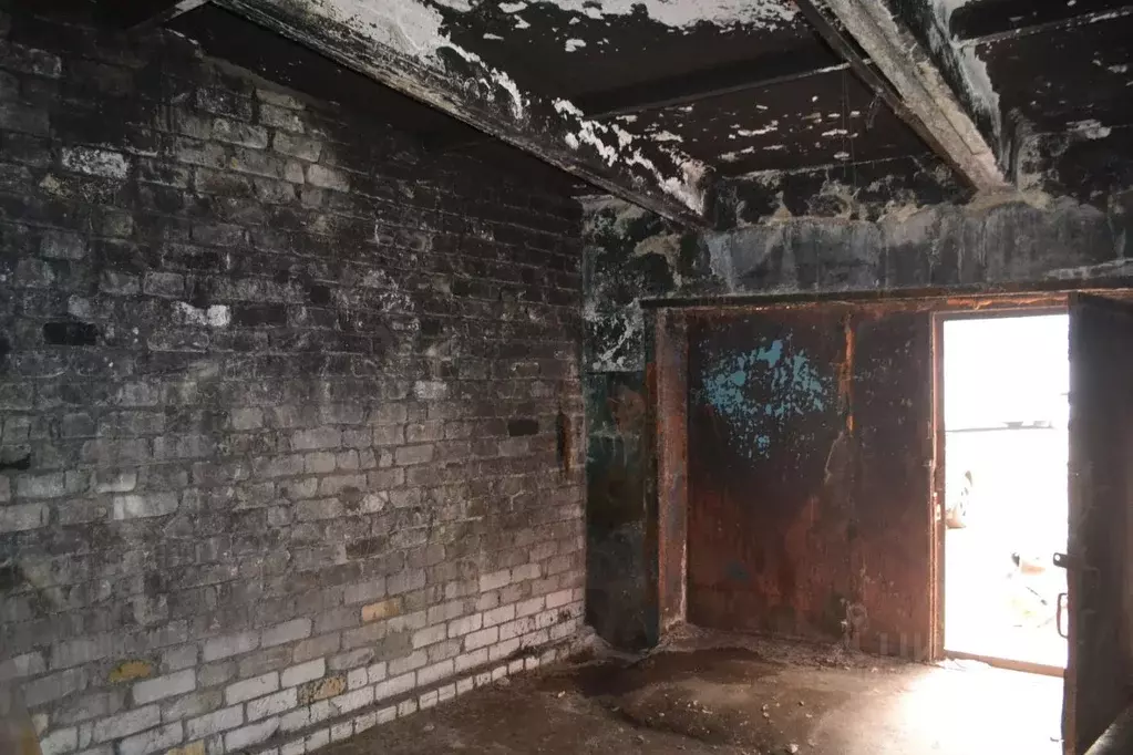 Помещение свободного назначения в Воронежская область, Воронеж ул. ... - Фото 0