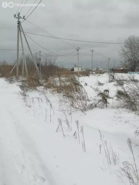 Участок в Первомайский район, село Фирсово (8.13 м) - Фото 1