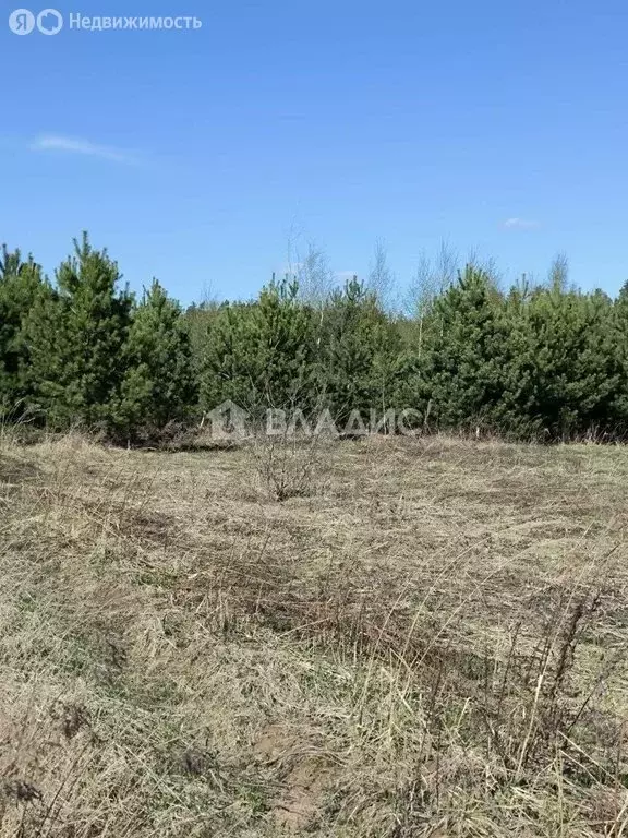 Участок в Нижегородская область, Городецкий муниципальный округ, ... - Фото 0