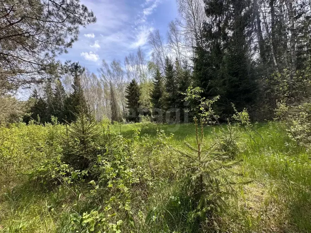 Участок в Московская область, Клин городской округ, д. Владимировка ... - Фото 2