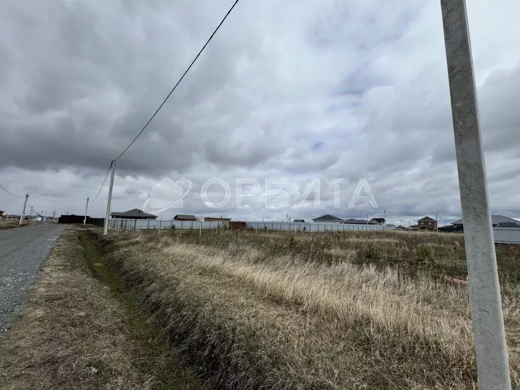 Участок в Тюменская область, Тюменский район, с. Кулига, Сказка кп  ... - Фото 1