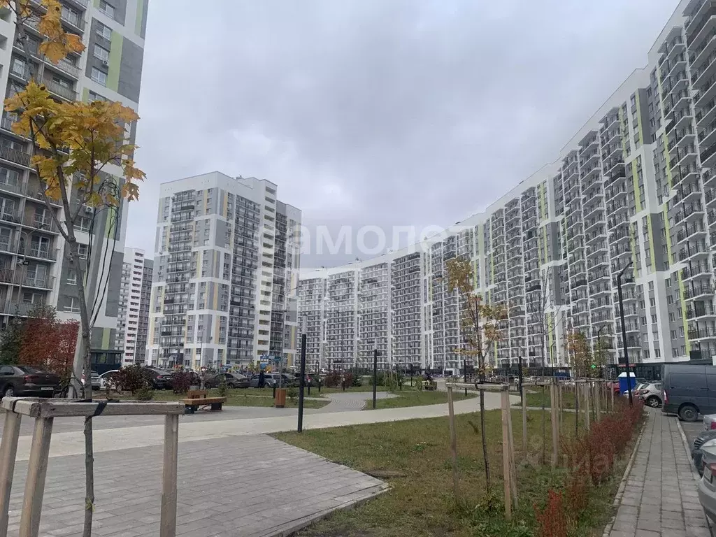 1-к кв. Пензенская область, Пенза ул. Генерала Глазунова, 11 (31.0 м) - Фото 1