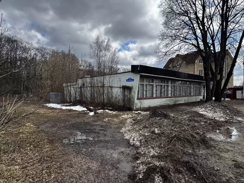 Торговая площадь в Московская область, Балашиха городской округ, д. ... - Фото 2