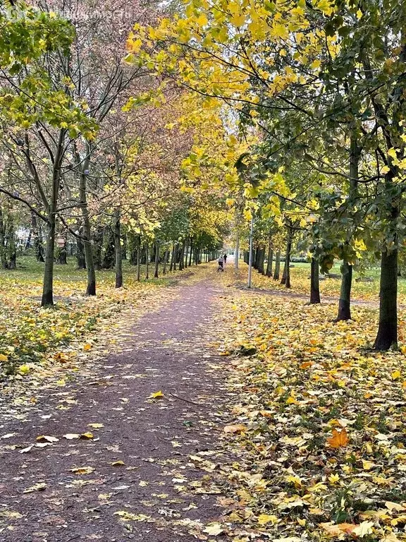 Квартира-студия: Санкт-Петербург, Пулковское шоссе, 14с6 (24.4 м) - Фото 2