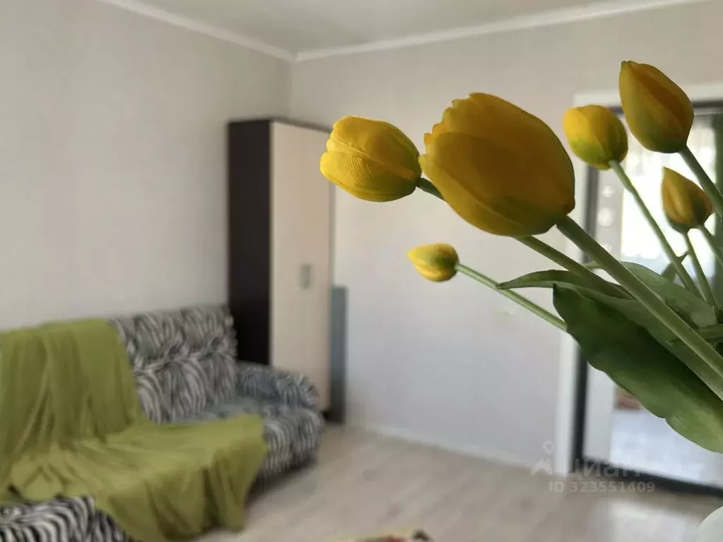 Комната Саратовская область, Саратов ул. 2-я Пионерская, 30/36 (13.0 ... - Фото 1