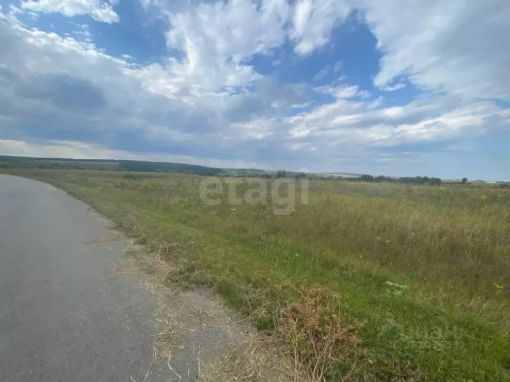 Участок в Белгородская область, Белгородский район, Беловское с/пос, ... - Фото 1
