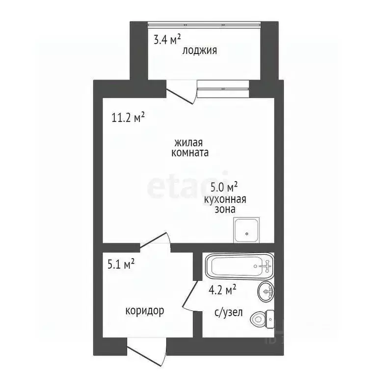 Студия Амурская область, Благовещенский район, с. Чигири ул. ... - Фото 1