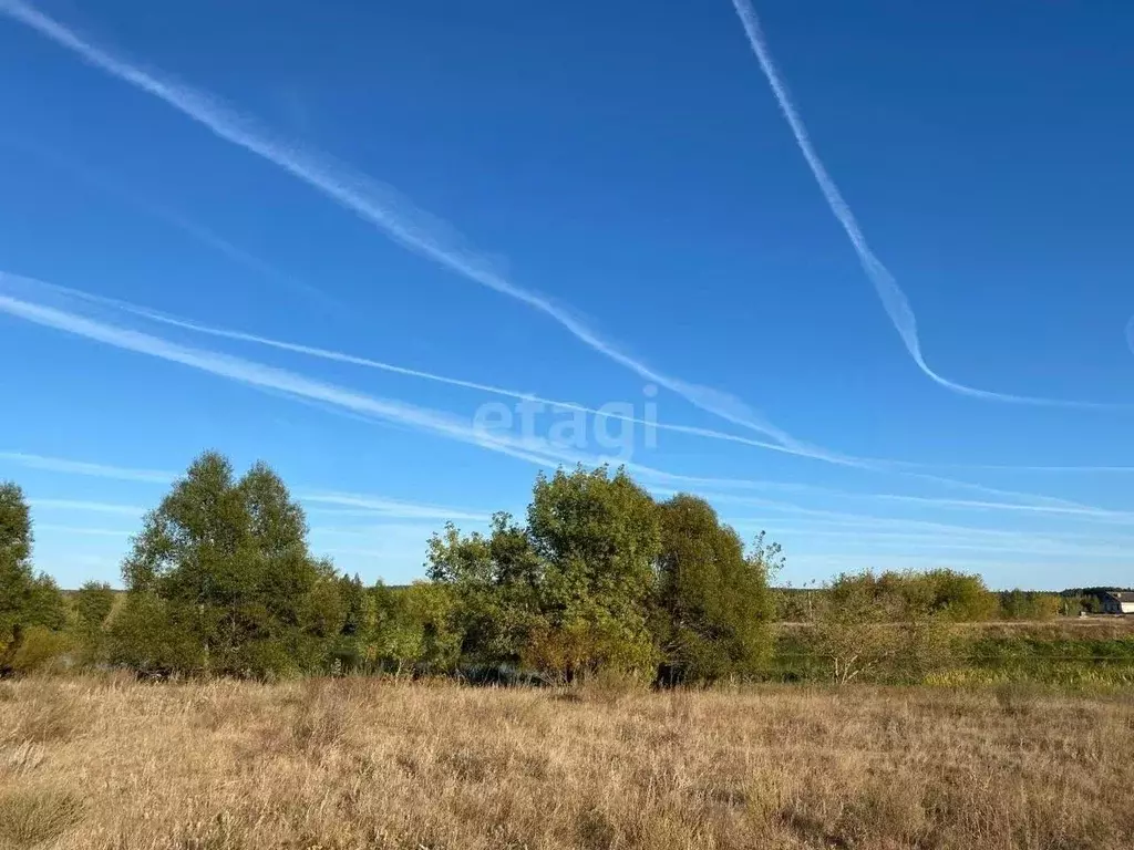 Участок в Тамбовская область, Тамбовский муниципальный округ, пос. ... - Фото 1