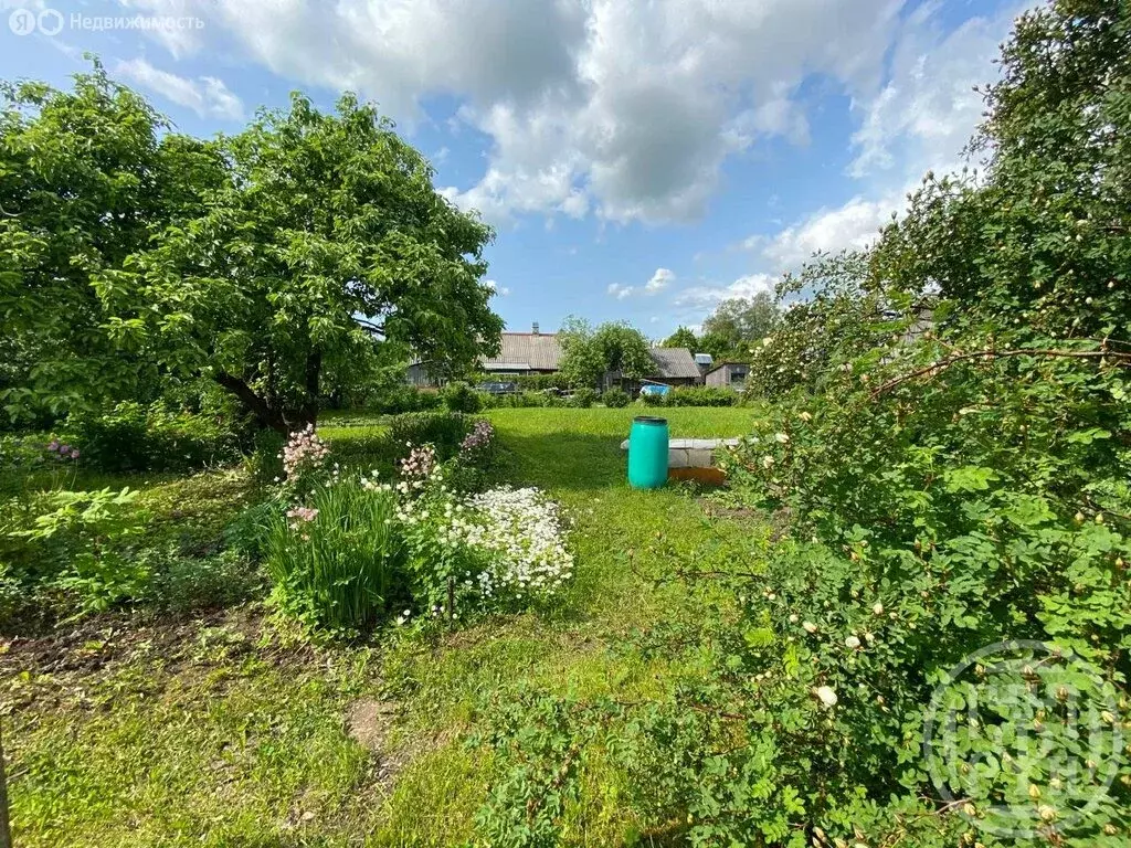 Участок в Волосовский район, Большеврудское сельское поселение, ... - Фото 1