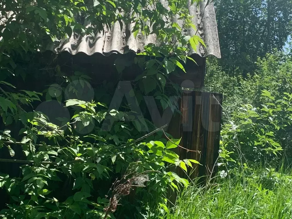 Участок 50 га (ИЖС) - Фото 1