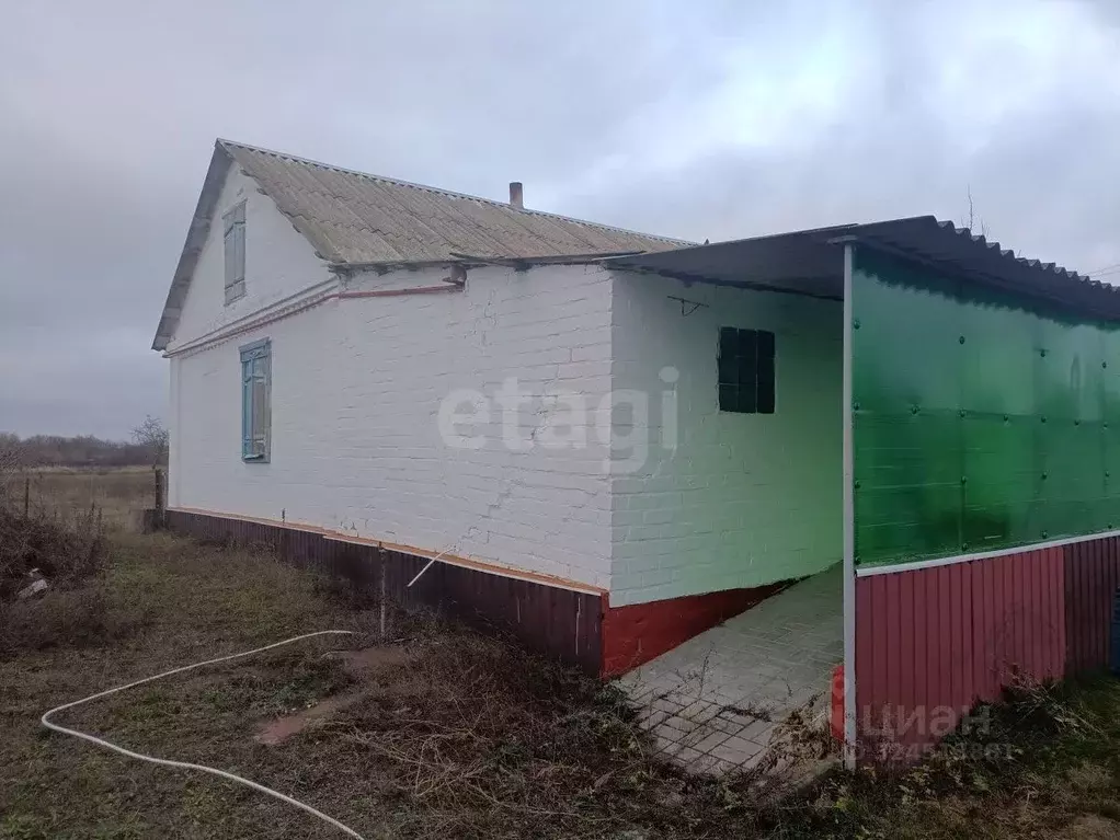 Дом в Белгородская область, Вейделевский район, с. Белый Колодезь ул. ... - Фото 1