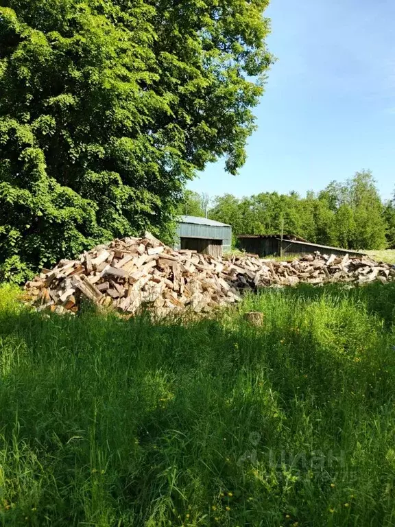 Участок в Ярославская область, Борисоглебский муниципальный округ, д. ... - Фото 2