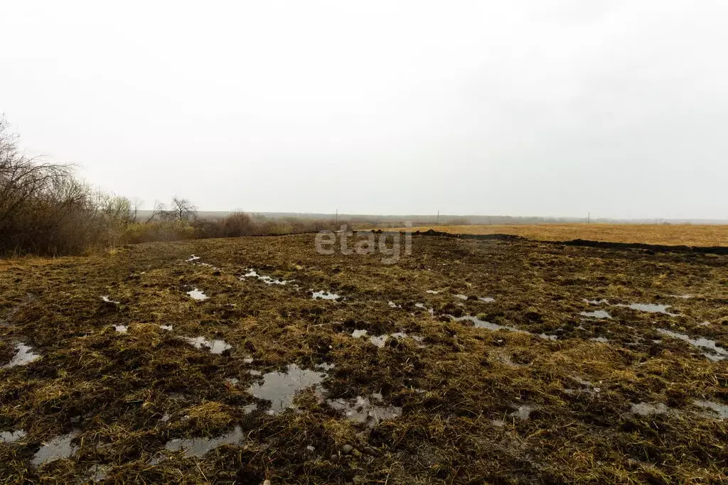 Участок в Тюменский район, деревня Насекина (8.4 м) - Фото 1