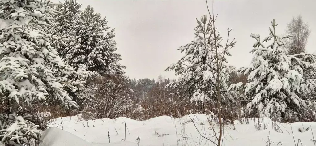 Участок в Московская область, Сергиево-Посадский городской округ, д. ... - Фото 0