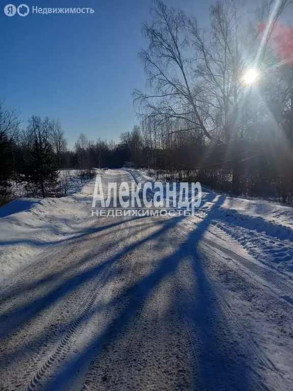 Участок в Выборг, улица Дача Охотников (240 м) - Фото 1