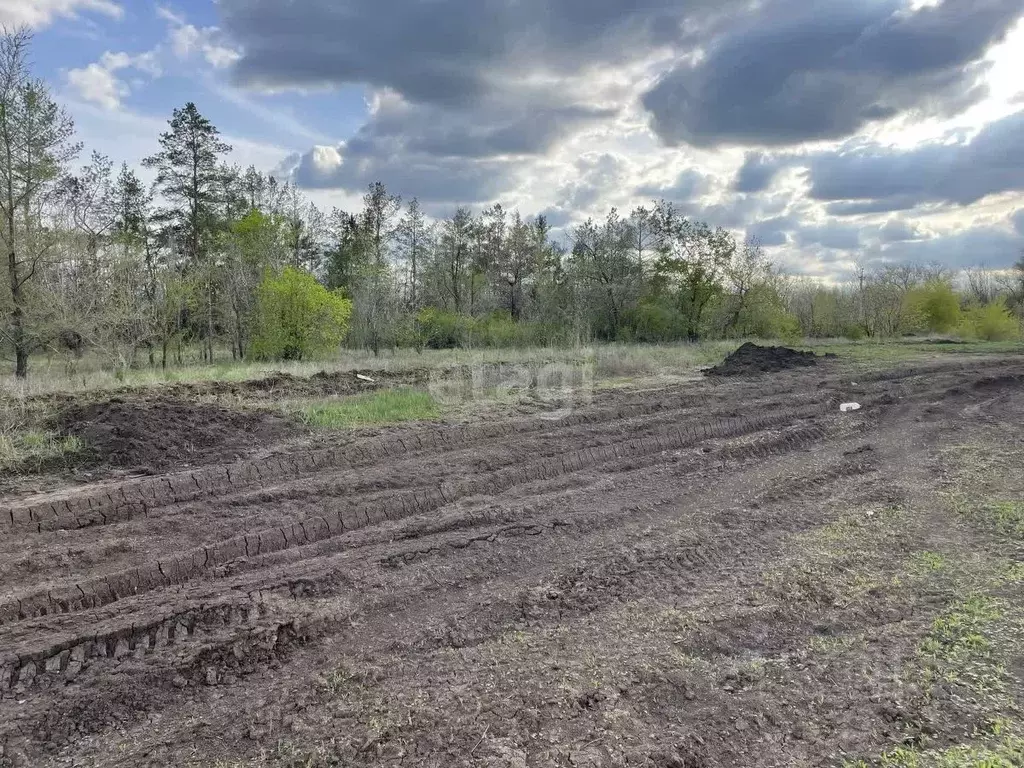 Участок в Оренбургская область, Оренбургский район, с. Благословенка, ... - Фото 0