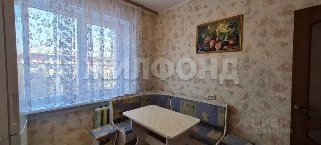 2-к кв. Новосибирская область, Новосибирск Юбилейный мкр, ул. ... - Фото 2