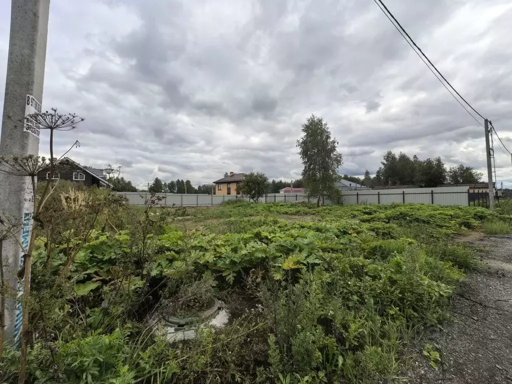 Участок в Московская область, Щелково городской округ, Ягодная тер.  ... - Фото 1