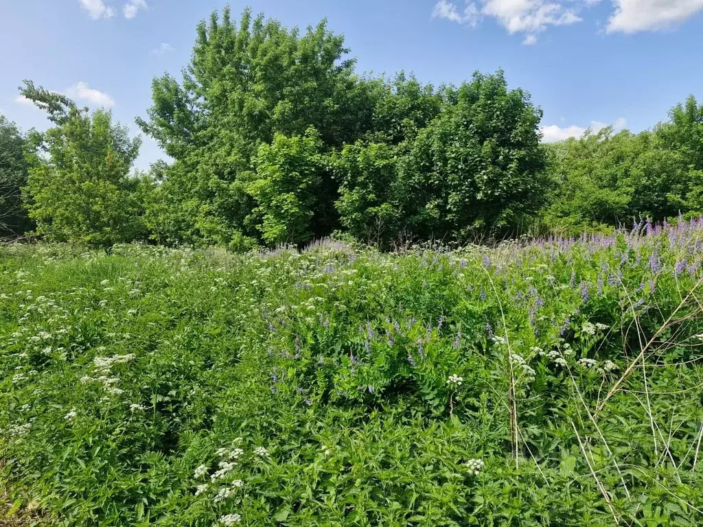 Участок в Московская область, Ступино городской округ, с. Березнецово  ... - Фото 2