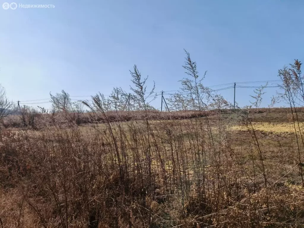 Участок в Трудовое, ССПК Помология (8 м) - Фото 1