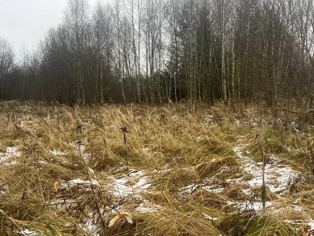 Участок в Московская область, Можайский муниципальный округ, д. ... - Фото 1