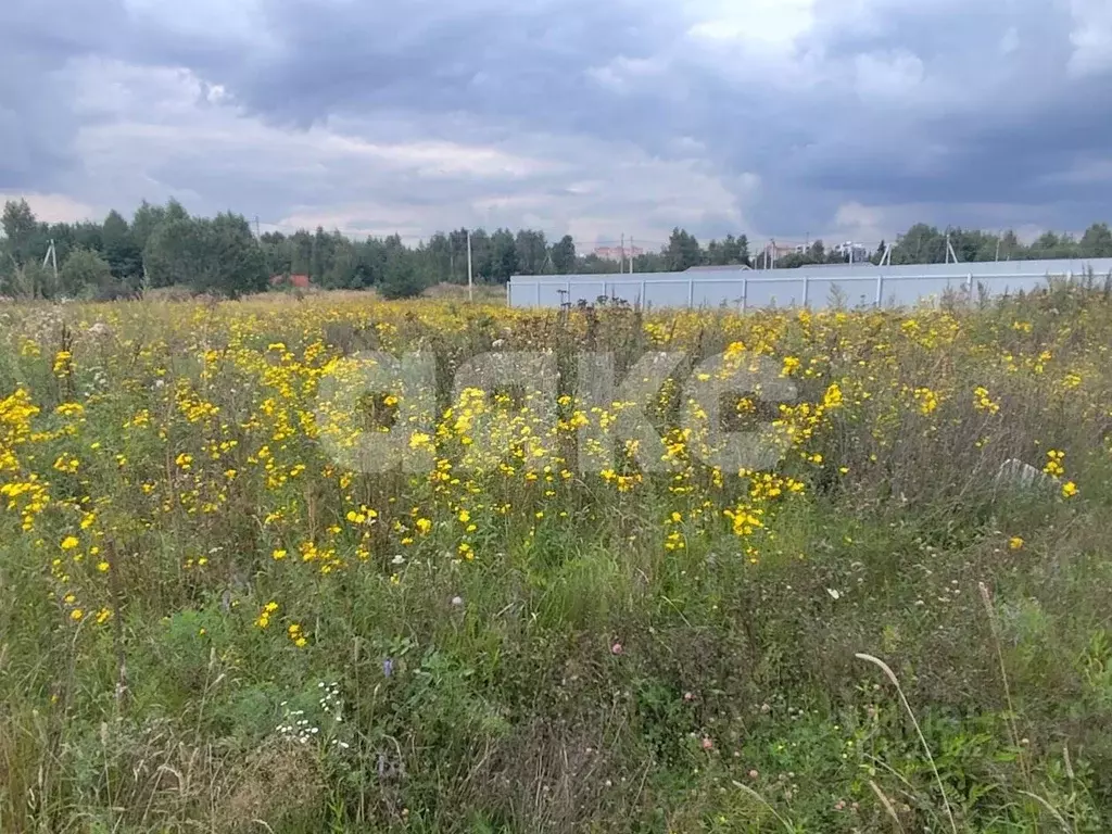 Участок в Московская область, Раменское Дергаево-3 кп, ул. Январская ... - Фото 1