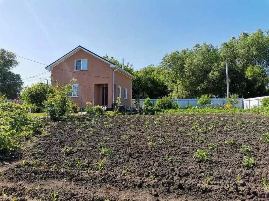 Купить Цыплят В Новой Усмани Воронежской Области