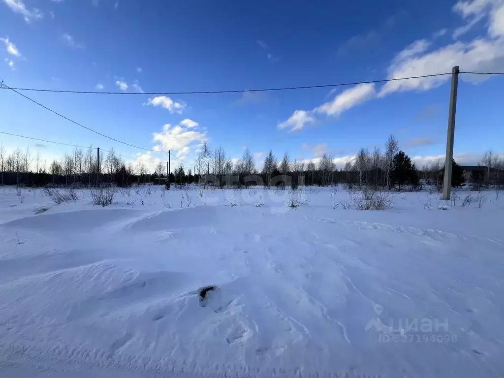 Участок в Челябинская область, Сосновский муниципальный округ, д. ... - Фото 2
