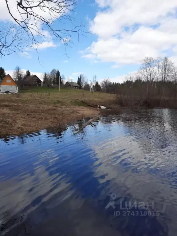 Участок в Новгородская область, Любытинский район, д. Красная Гора  ... - Фото 0