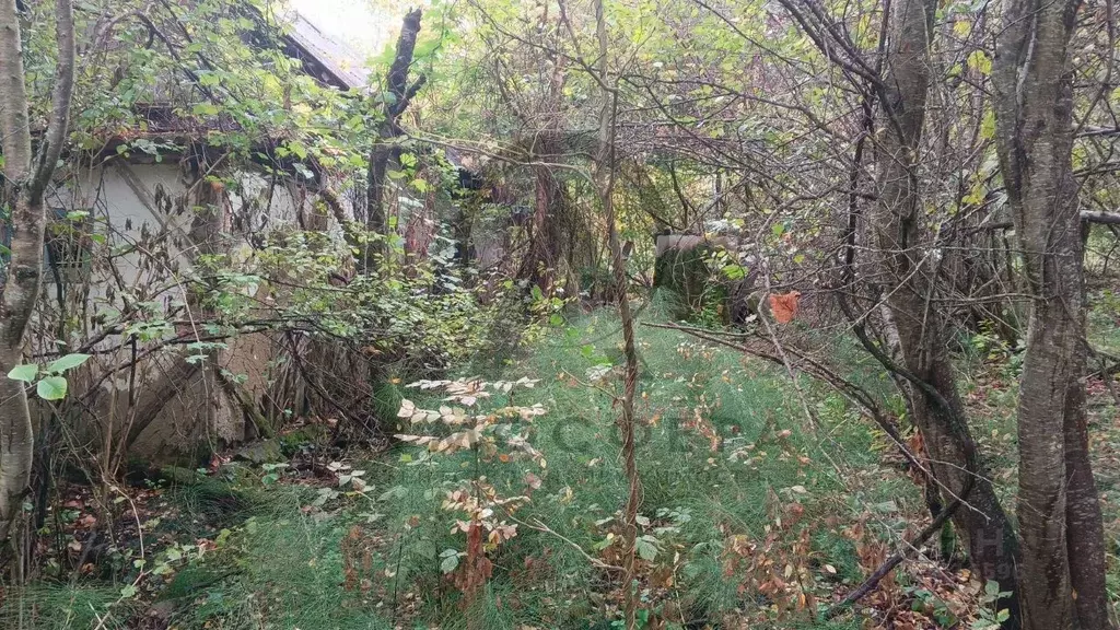 Дом в Краснодарский край, Апшеронский район, Куринское с/пос, пос. ... - Фото 1