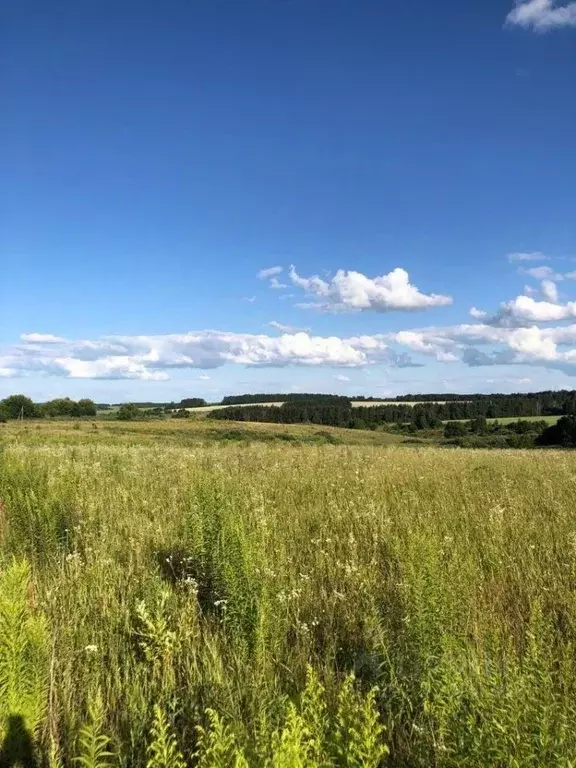 Участок в Орловская область, Орловский район, д. Дубовая Роща  (25.0 ... - Фото 1