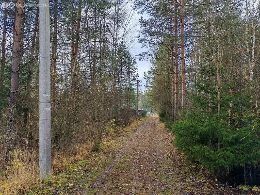Участок в Московская область, городской округ Клин, СНТ Лесник, 32 (16 ... - Фото 2