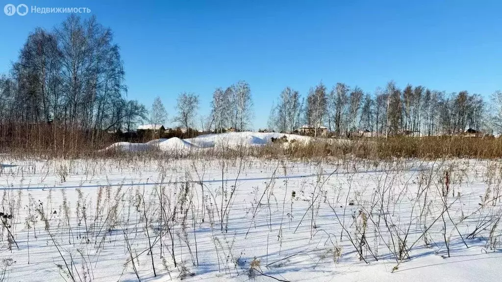 Участок в Тюменский муниципальный округ, село Перевалово (19 м) - Фото 1