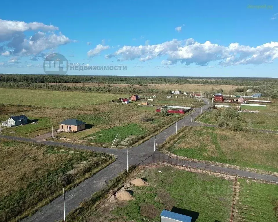 Участок в Ленинградская область, Всеволожский район, Романовское ... - Фото 0